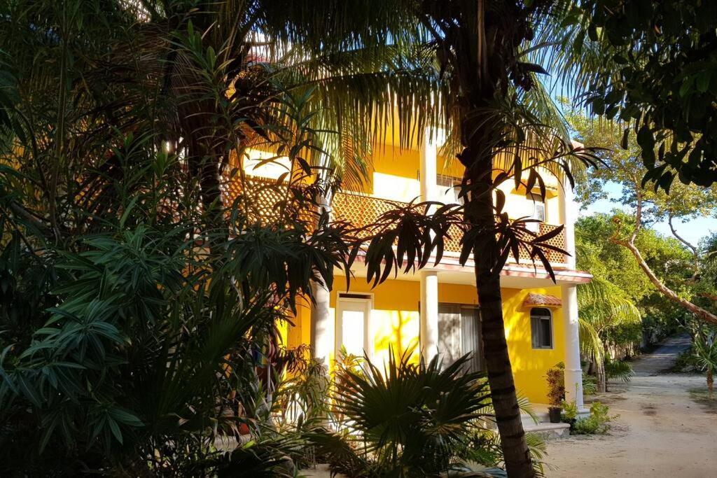 Marysol D10 Private Beach Next To Nomads Isla Mujeres Exterior photo